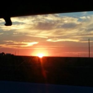 Meet your Posher, Patti